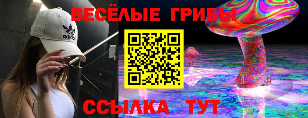 Галлюциногенные грибы GOLDEN TEACHER  Вход с VPN  Камышин 