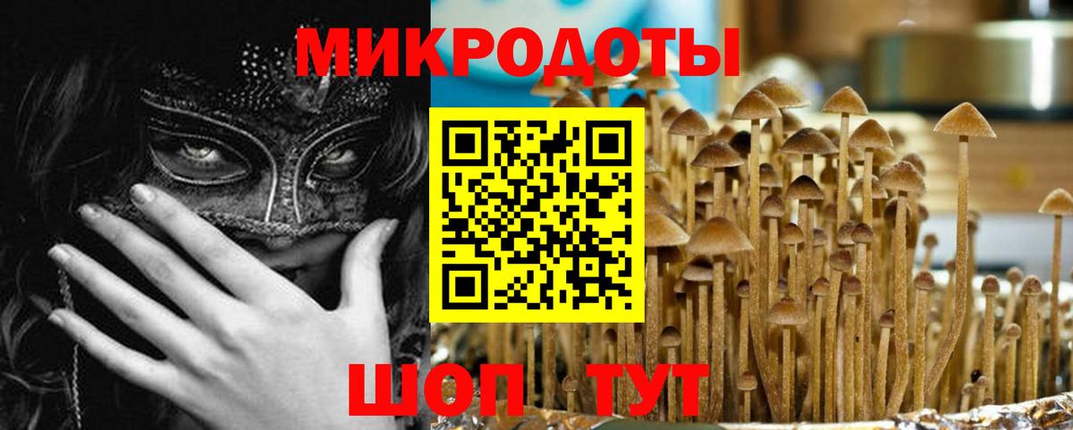 Галлюциногенные грибы MAGIC MUSHROOMS Камышин